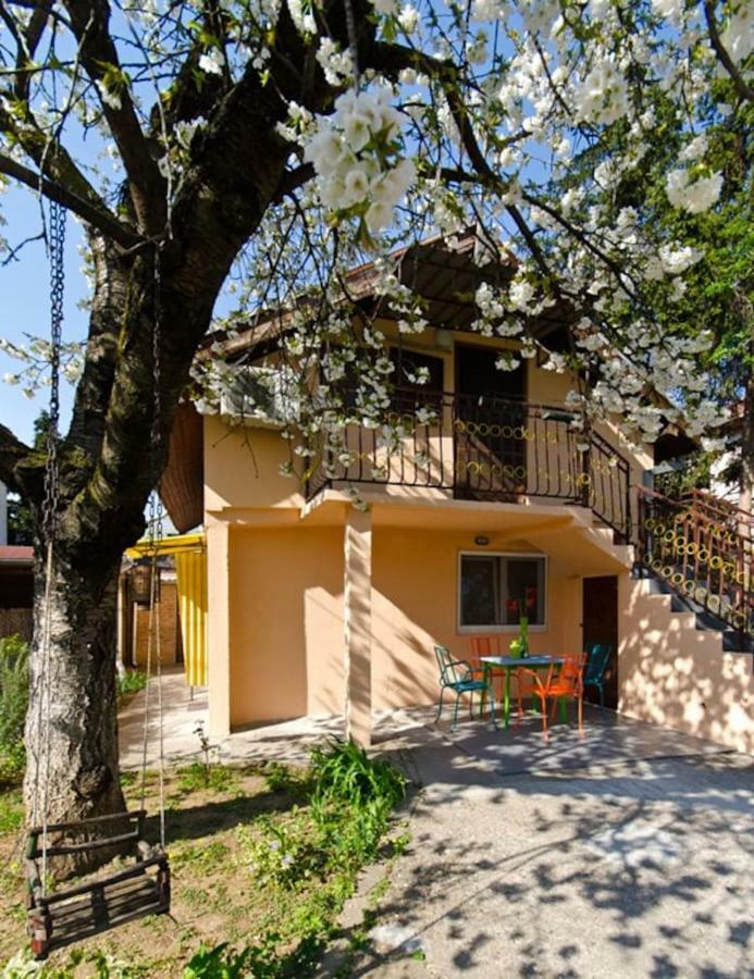Cherry Tree Art House Belgrade Exterior photo